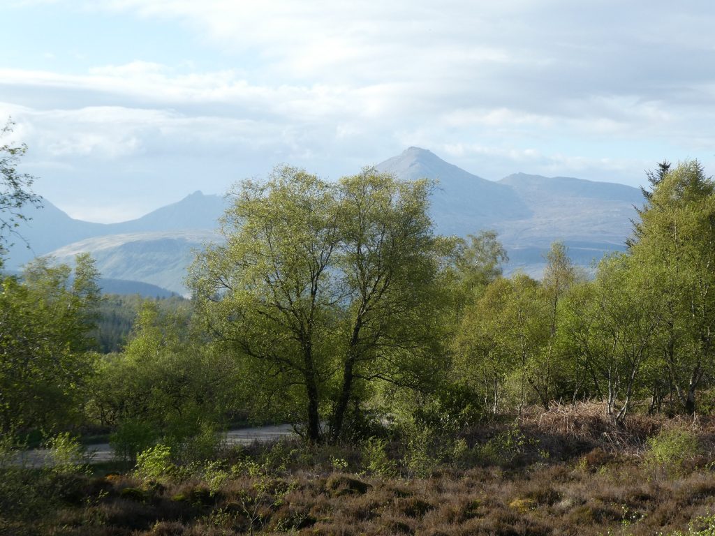 Isle of Arran view to goat fell