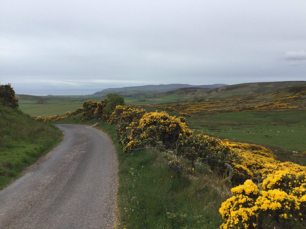 Kintyre bikepacking guide 
North end gravel