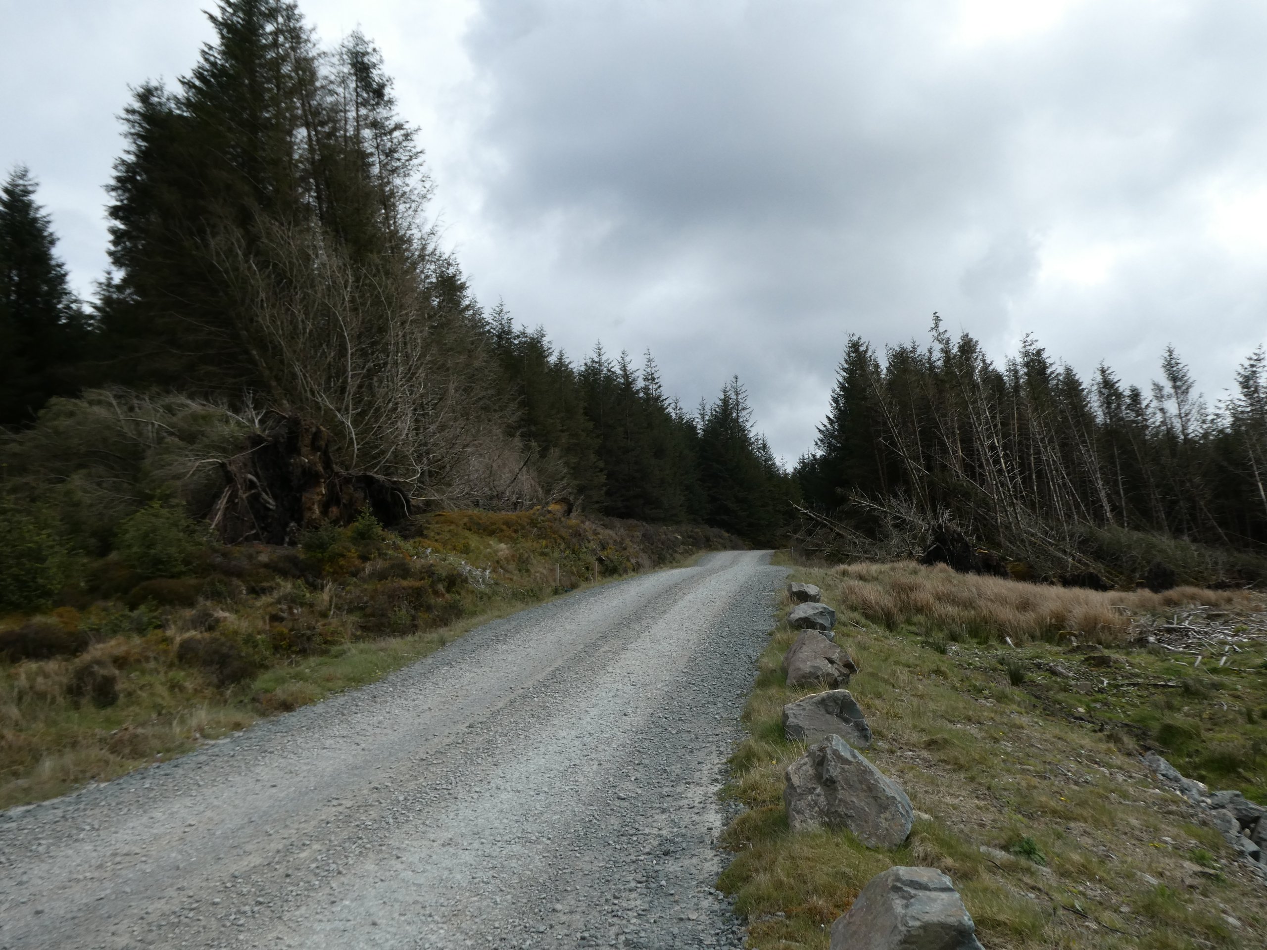 Kintyre Gravel Way